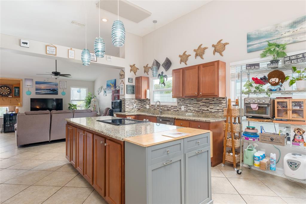 1301 Monte Lake Drive Valrico, FL 33596 - Photo 10 of 36 a kitchen with stainless steel appliances granite countertop a sink and a counter