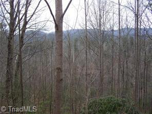 83 Deer Antler Road Purlear, NC 28665 - Photo 1 of 5