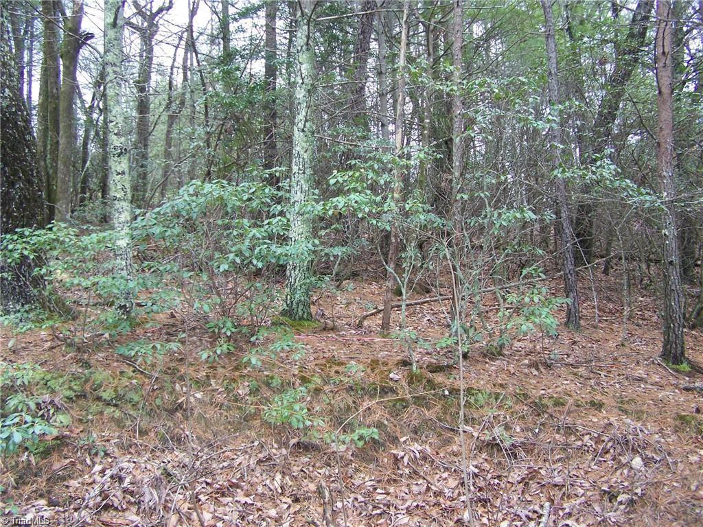 83 Deer Antler Road Purlear, NC 28665 - Photo 2 of 5