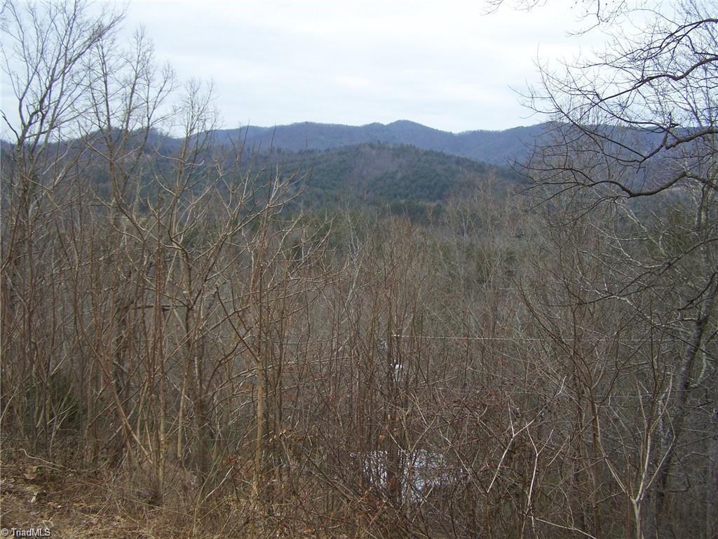 83 Deer Antler Road Purlear, NC 28665 - Photo 3 of 5