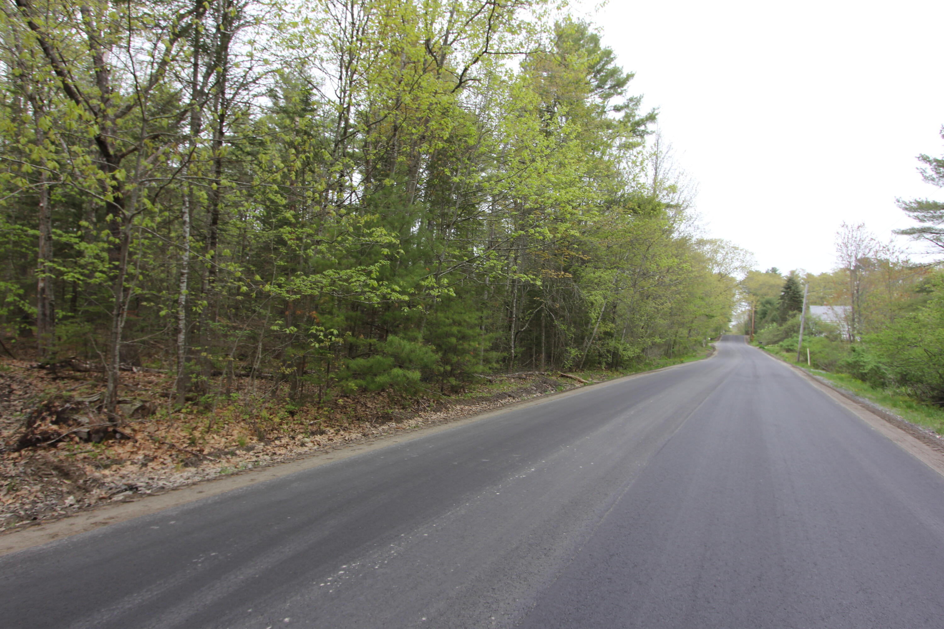 Lot 56 Carding Machine Road Bowdoinham, ME 04008 - Photo 5 of 9 IMG_9935