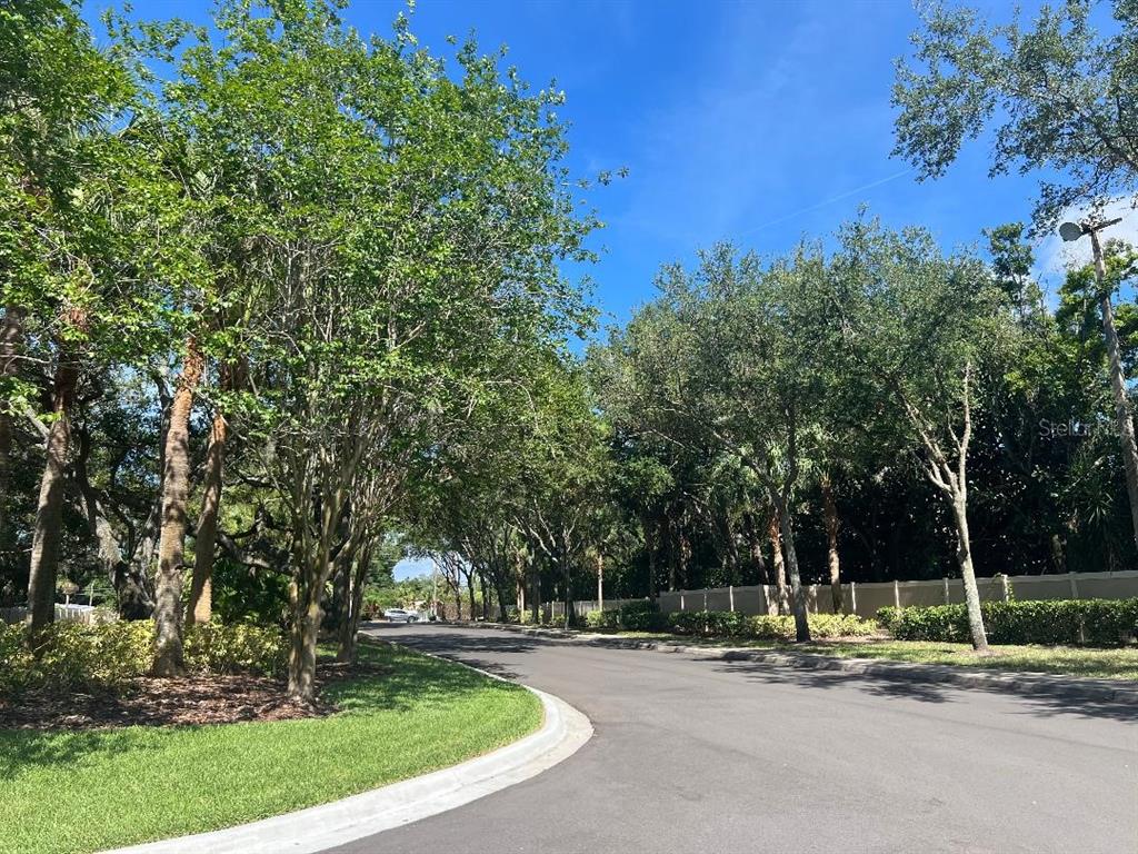 960 Starkey Road, Unit 10305 Largo, FL 33771 - Photo 26 of 27