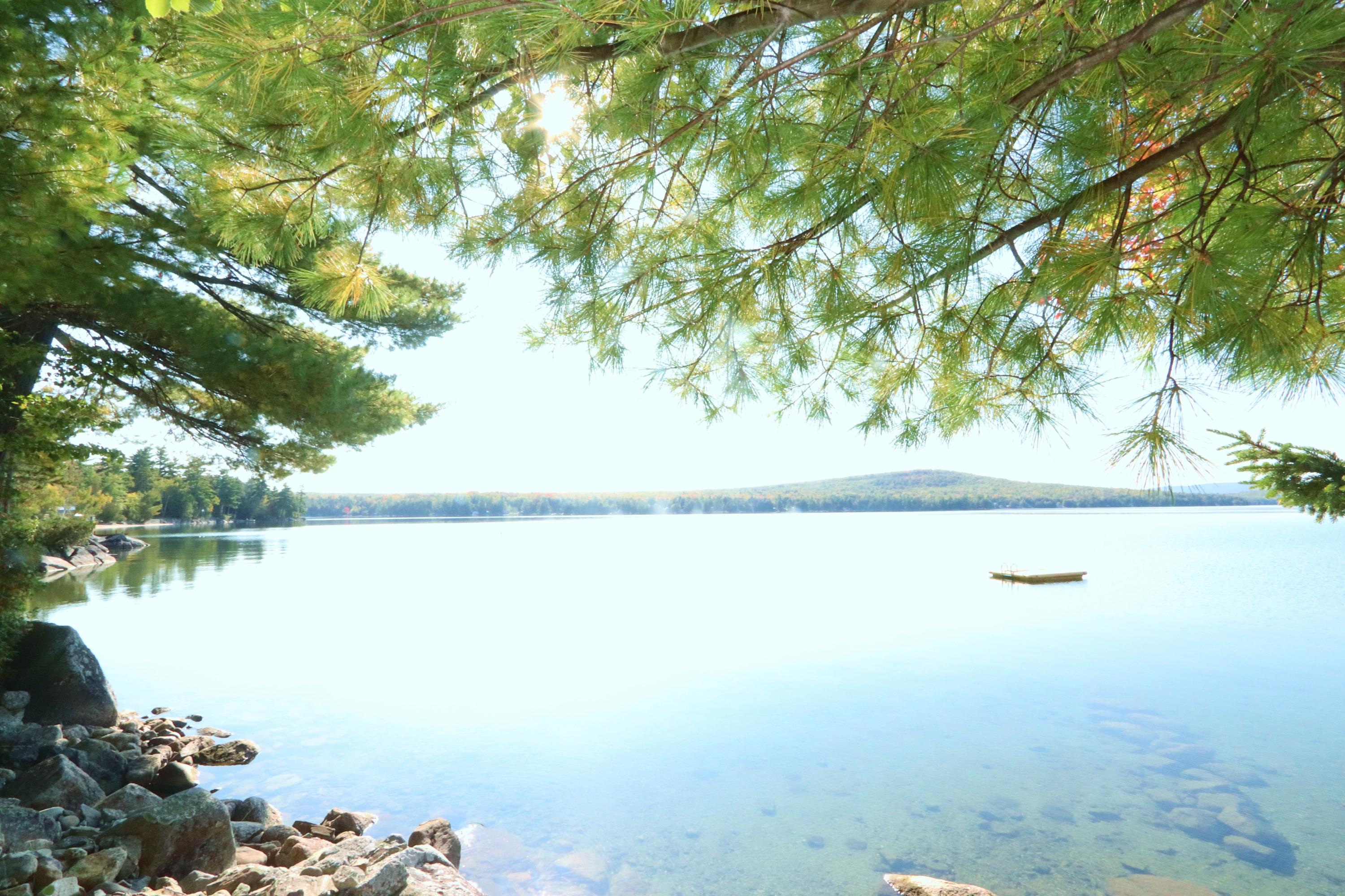 58 Robbins Road Otis, ME 04605 - Photo 9 of 29 IMG_6024