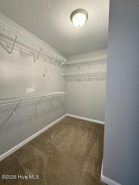 505 Sonoma Road Jacksonville, NC 28546 - Photo 24 of 31
