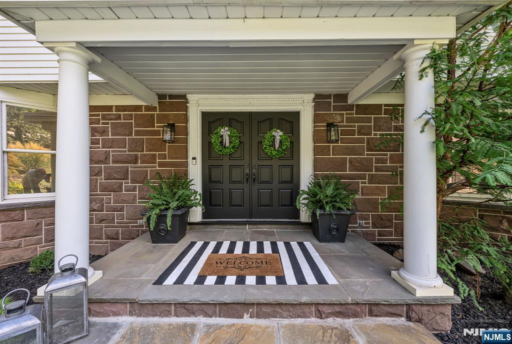 a view of backyard with potted plants