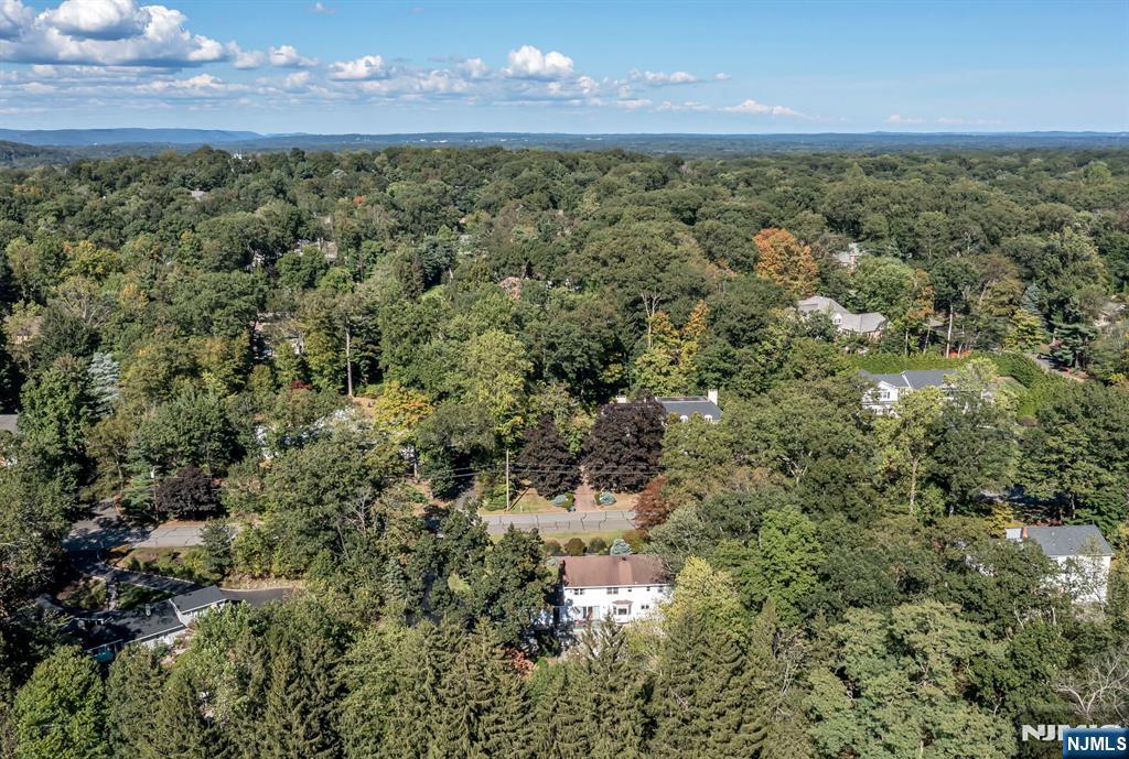 910 Huron Road Franklin Lakes, NJ 07417 - Photo 36 of 41