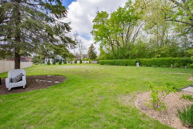 a view of a park with large trees