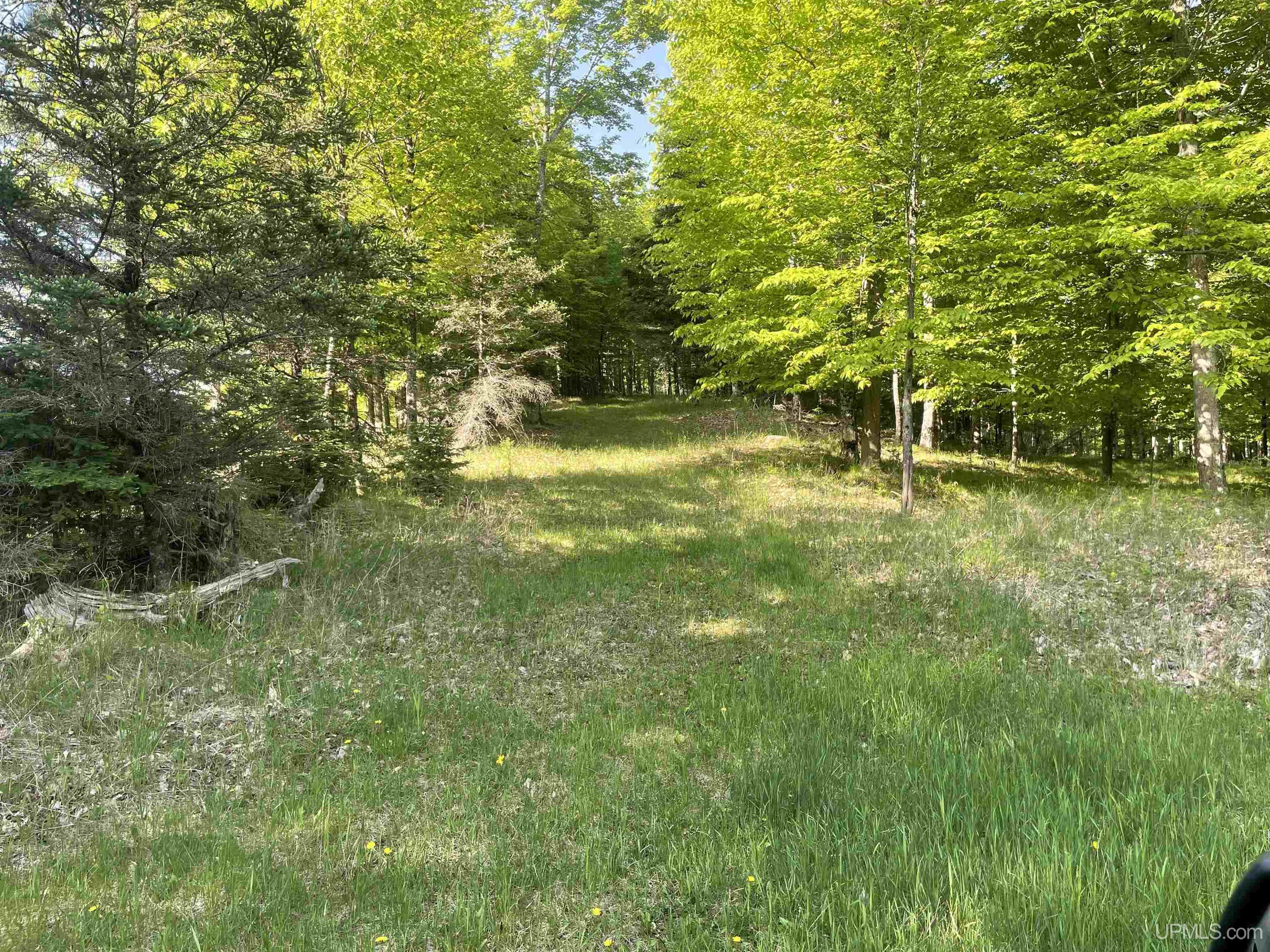 W2588 31 Lane Daggett, MI 49821 - Photo 23 of 58