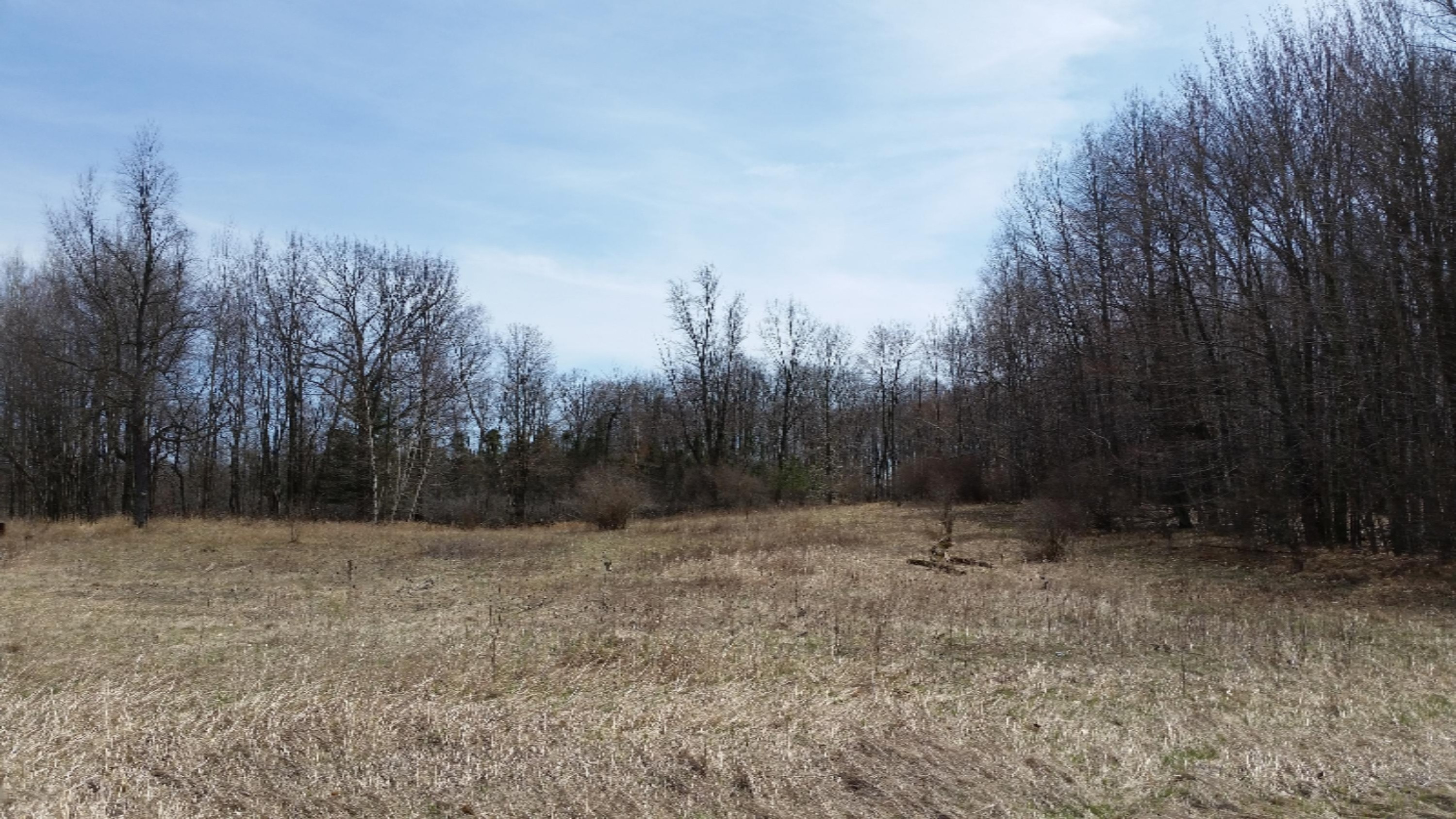 0 Deaner Road Six Lakes, MI 48886 - Photo 1 of 8 20180426_150345
