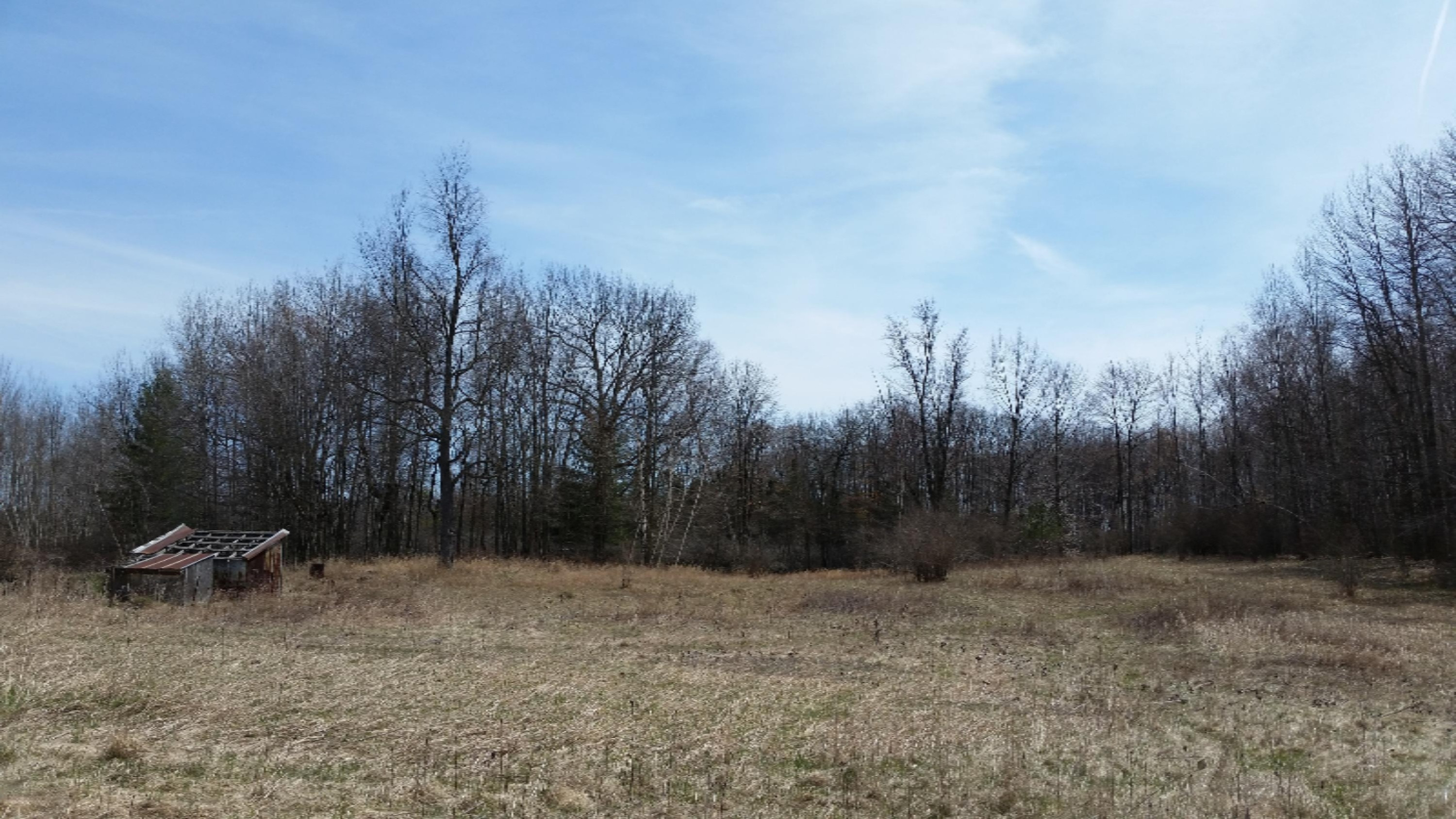 0 Deaner Road Six Lakes, MI 48886 - Photo 2 of 8 20180426_150731
