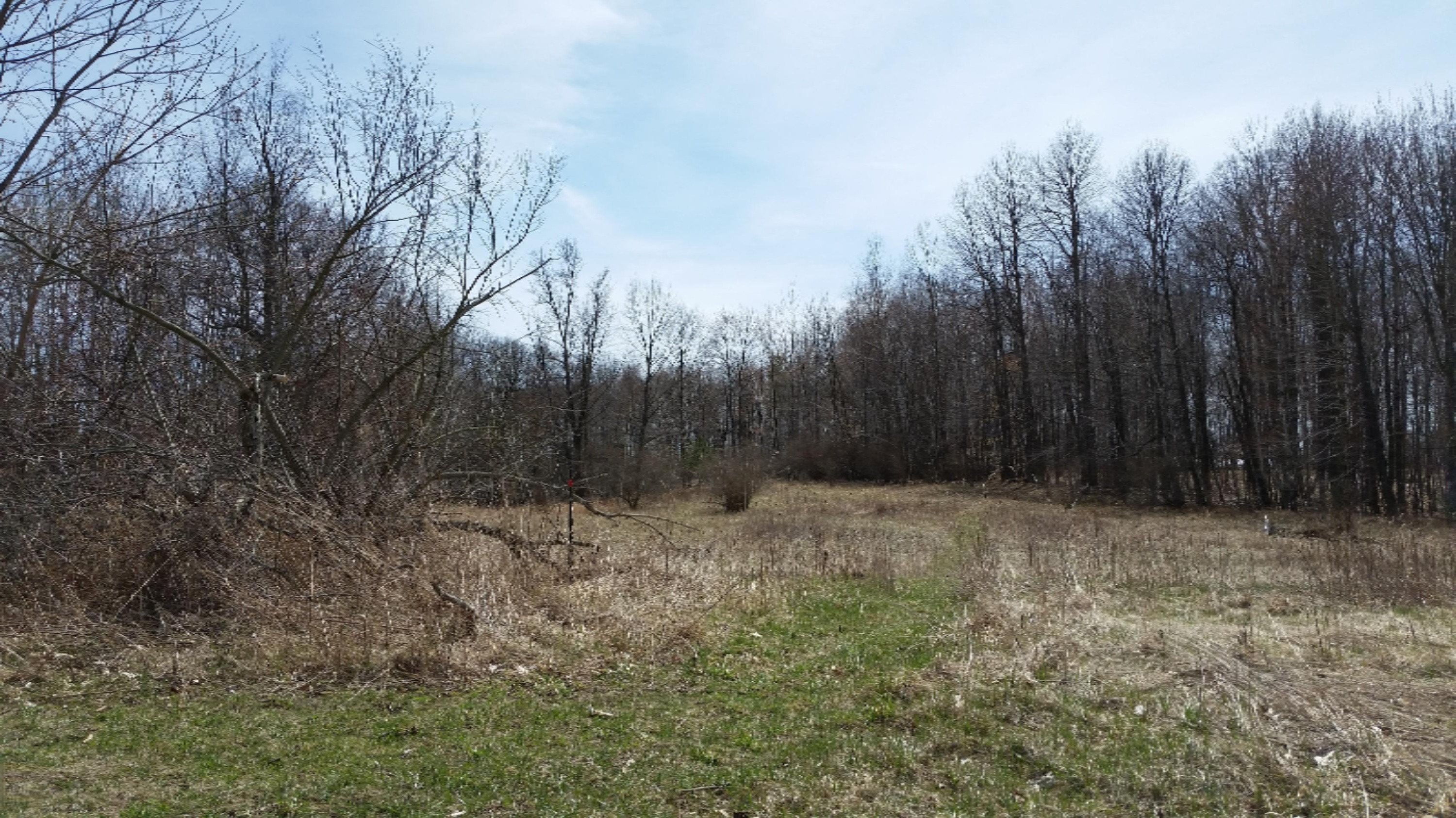 0 Deaner Road Six Lakes, MI 48886 - Photo 3 of 8 20180426_150422
