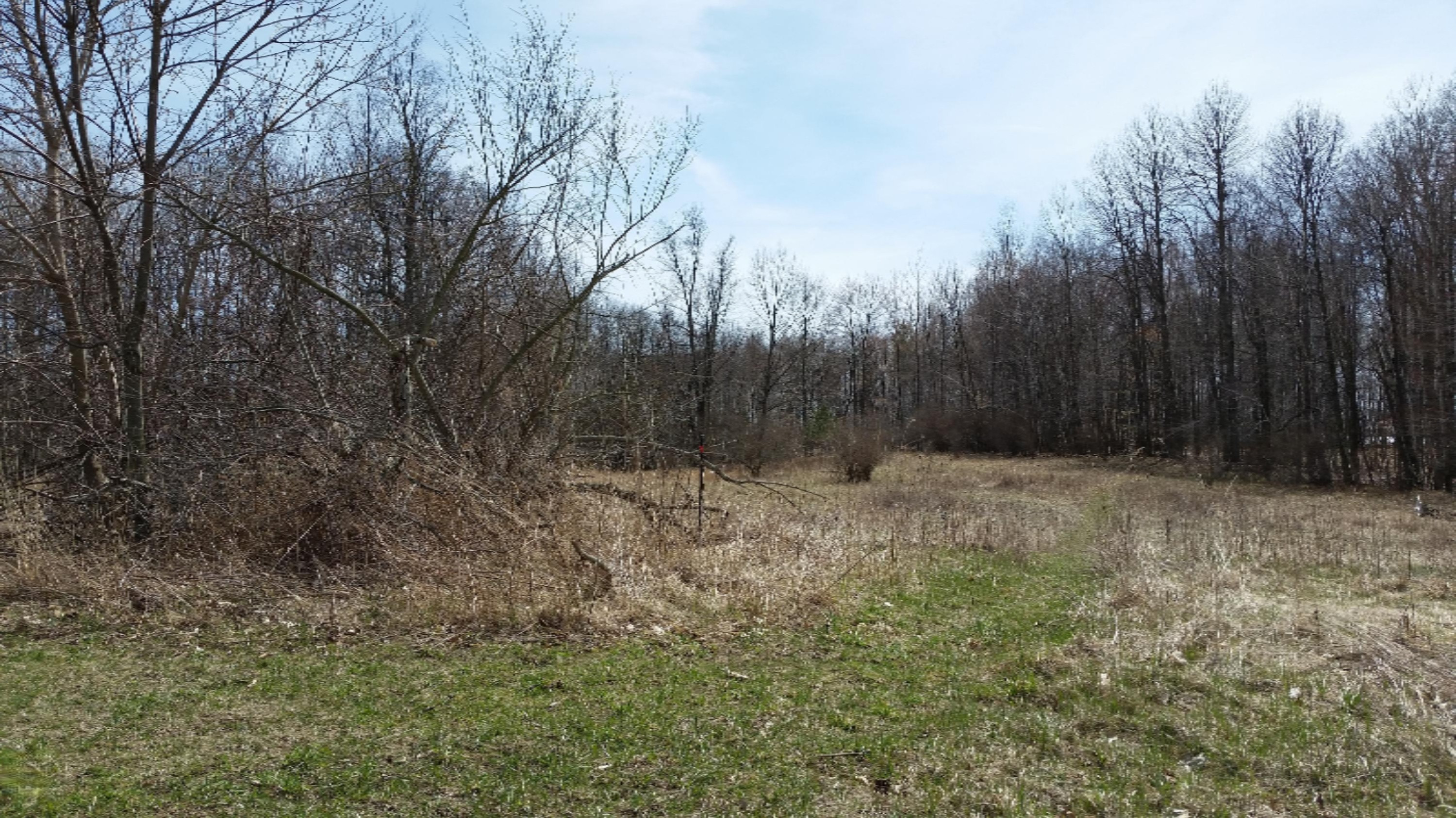 0 Deaner Road Six Lakes, MI 48886 - Photo 4 of 8 20180426_150419