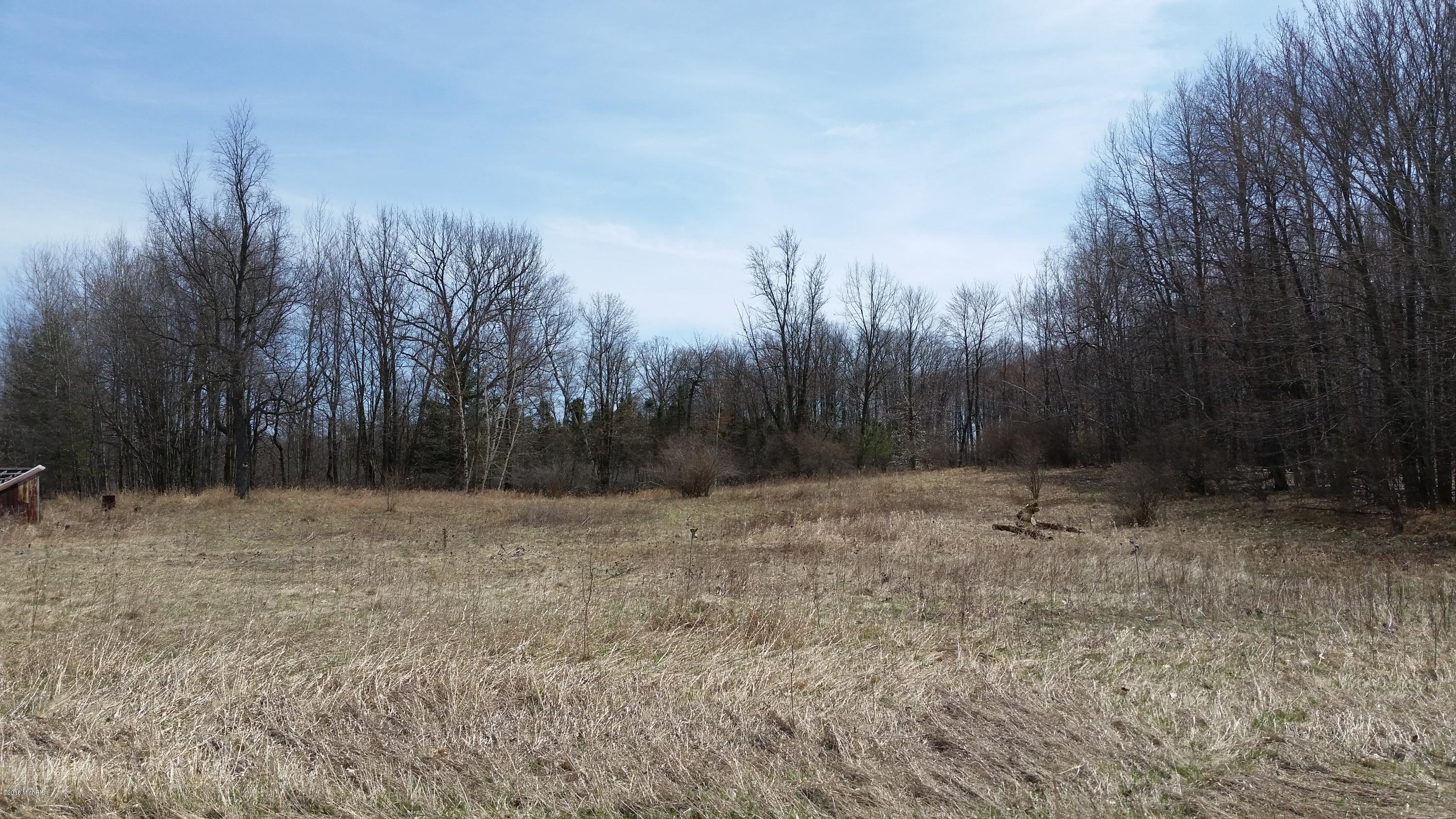 0 Deaner Road Six Lakes, MI 48886 - Photo 5 of 8 20180426_150347