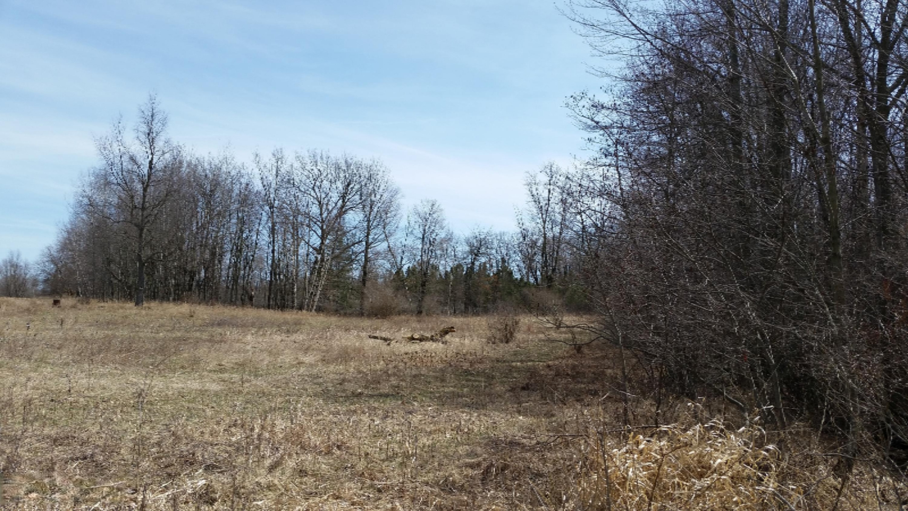 0 Deaner Road Six Lakes, MI 48886 - Photo 6 of 8 20180426_150319