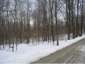 2 Boulger Road Stamford, VT 05352 - Photo 1 of 1