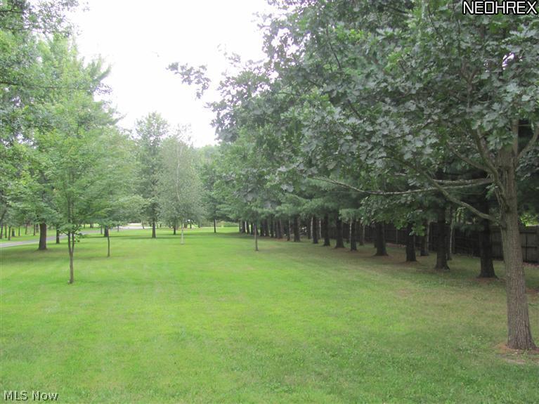 7325 Egypt Road Medina, OH 44256 - Photo 2 of 20 Gallery Image 2
