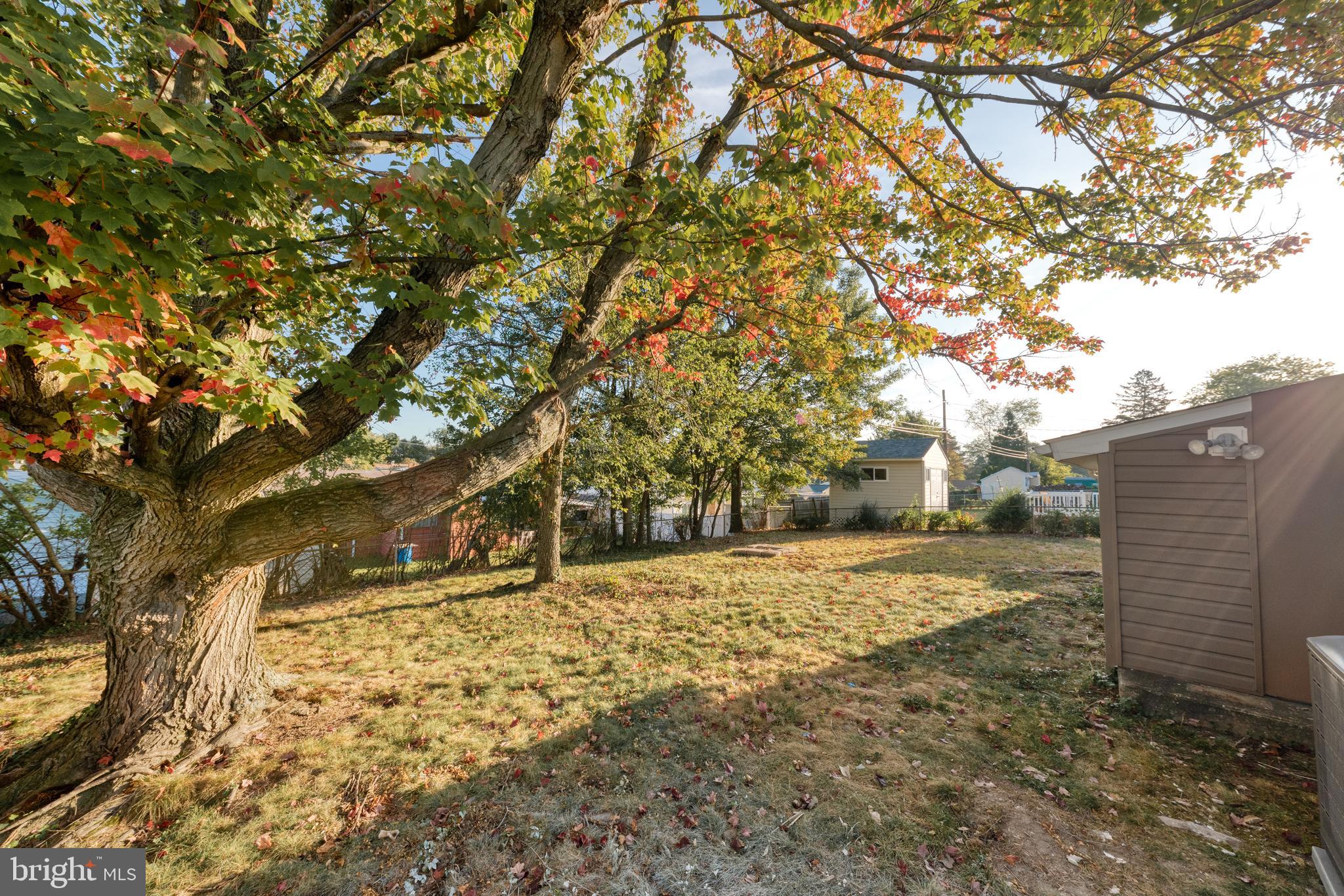 8722 Roper Road Baltimore, MD 21234 - Photo 22 of 23 Mature tree in the rear