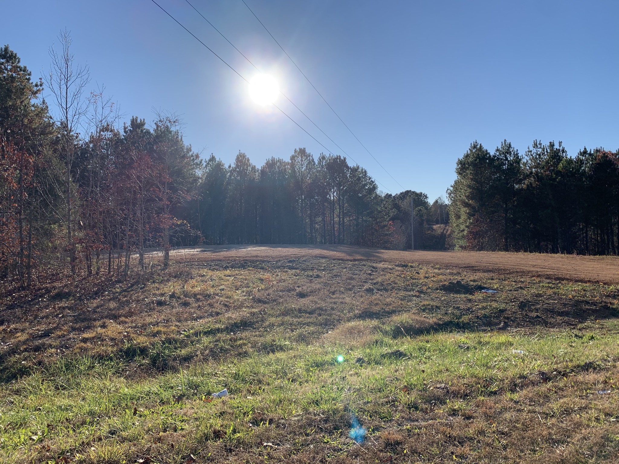 0 Howard Switch Rd Tr Hohenwald, TN 38462 - Photo 3 of 9 Gallery Image 3