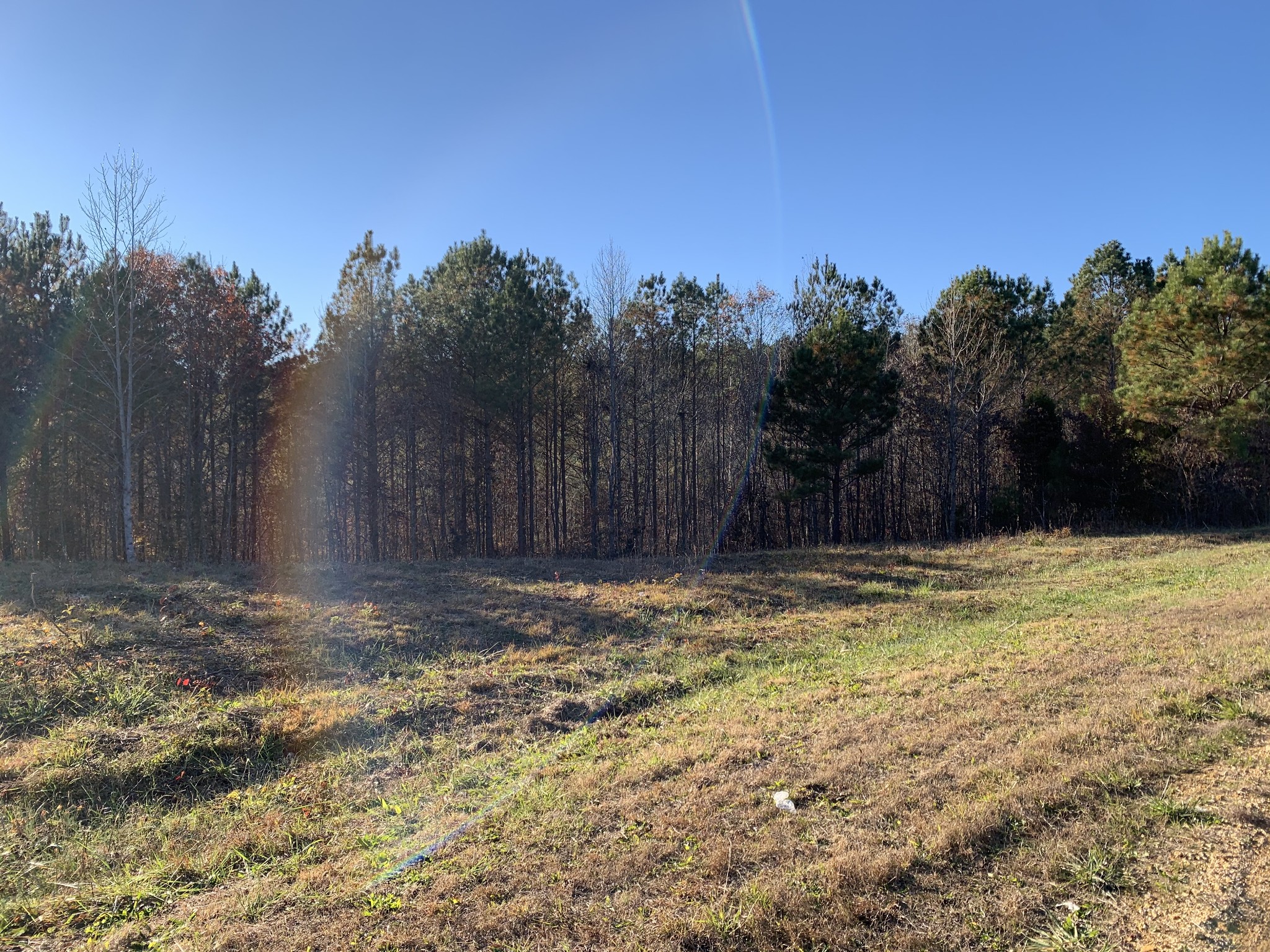 0 Howard Switch Rd Tr Hohenwald, TN 38462 - Photo 4 of 9 Gallery Image 4