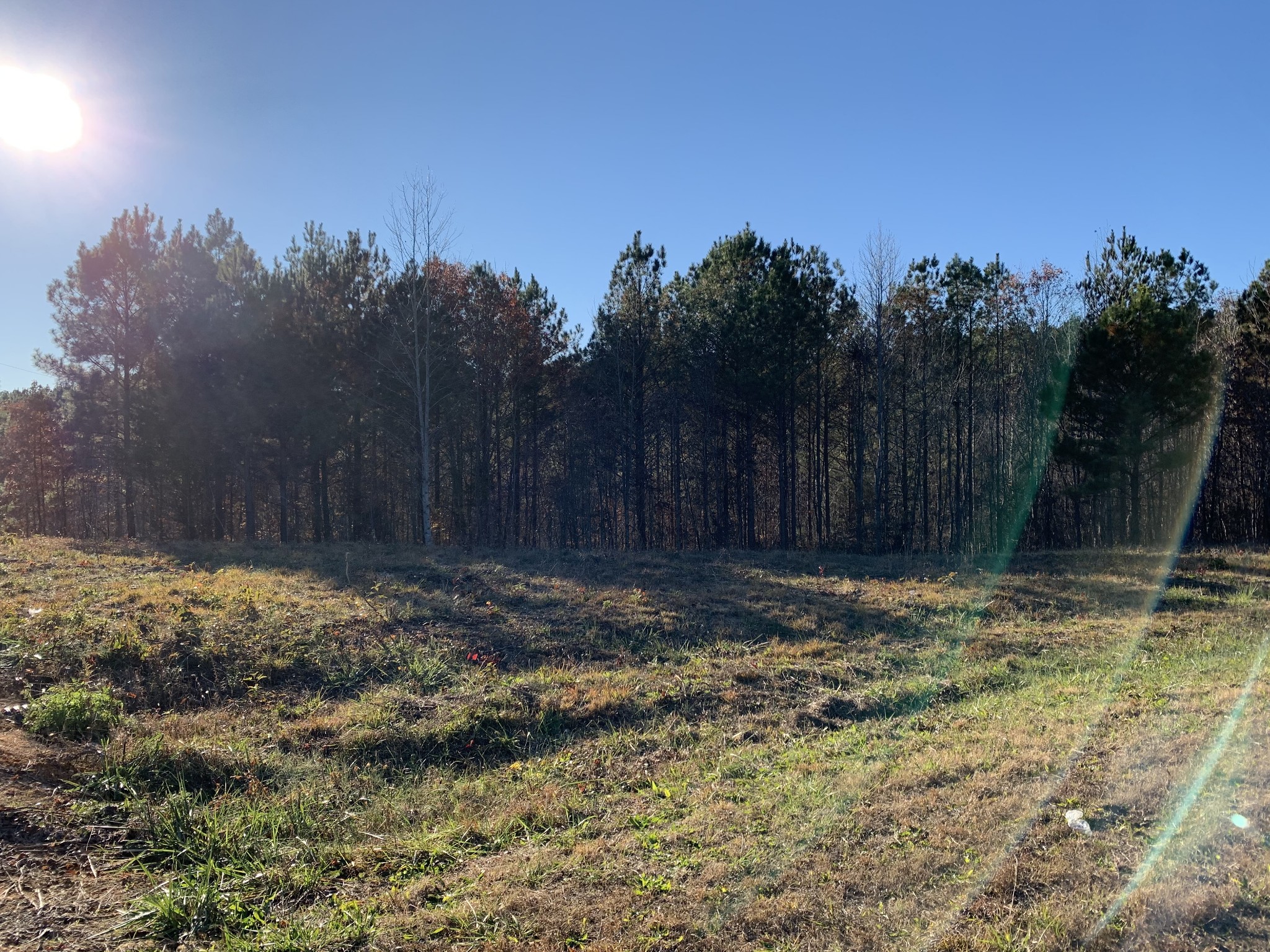 0 Howard Switch Rd Tr Hohenwald, TN 38462 - Photo 5 of 9 Gallery Image 5