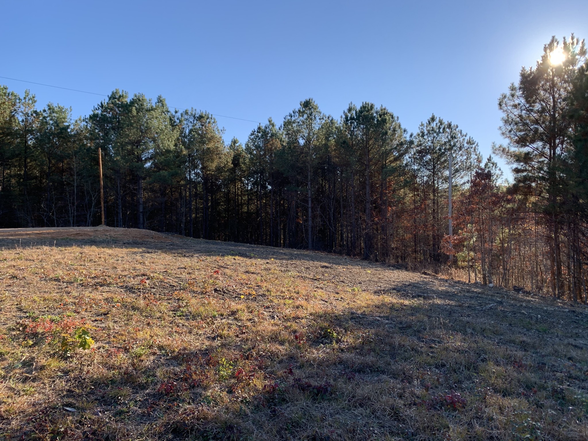 0 Howard Switch Rd Tr Hohenwald, TN 38462 - Photo 7 of 9 Gallery Image 7