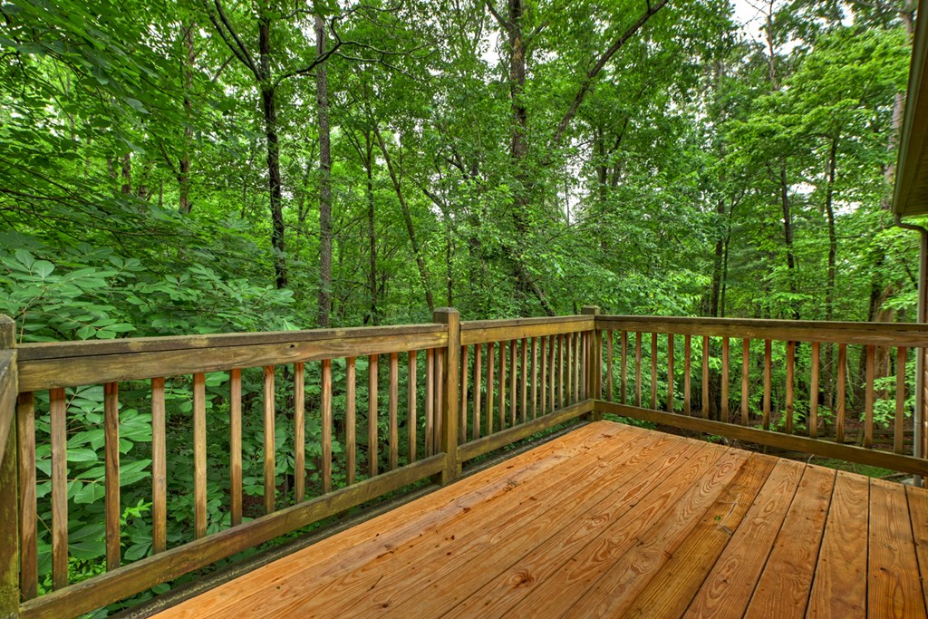 161 Foxhound Court Ellijay, GA 30540 - Photo 20 of 31