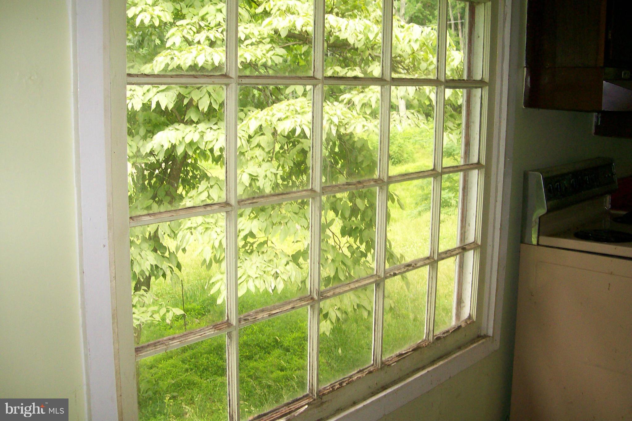 114 Moorehead Road Gore, VA 22637 - Photo 17 of 25 a view of a large window with an outdoor space