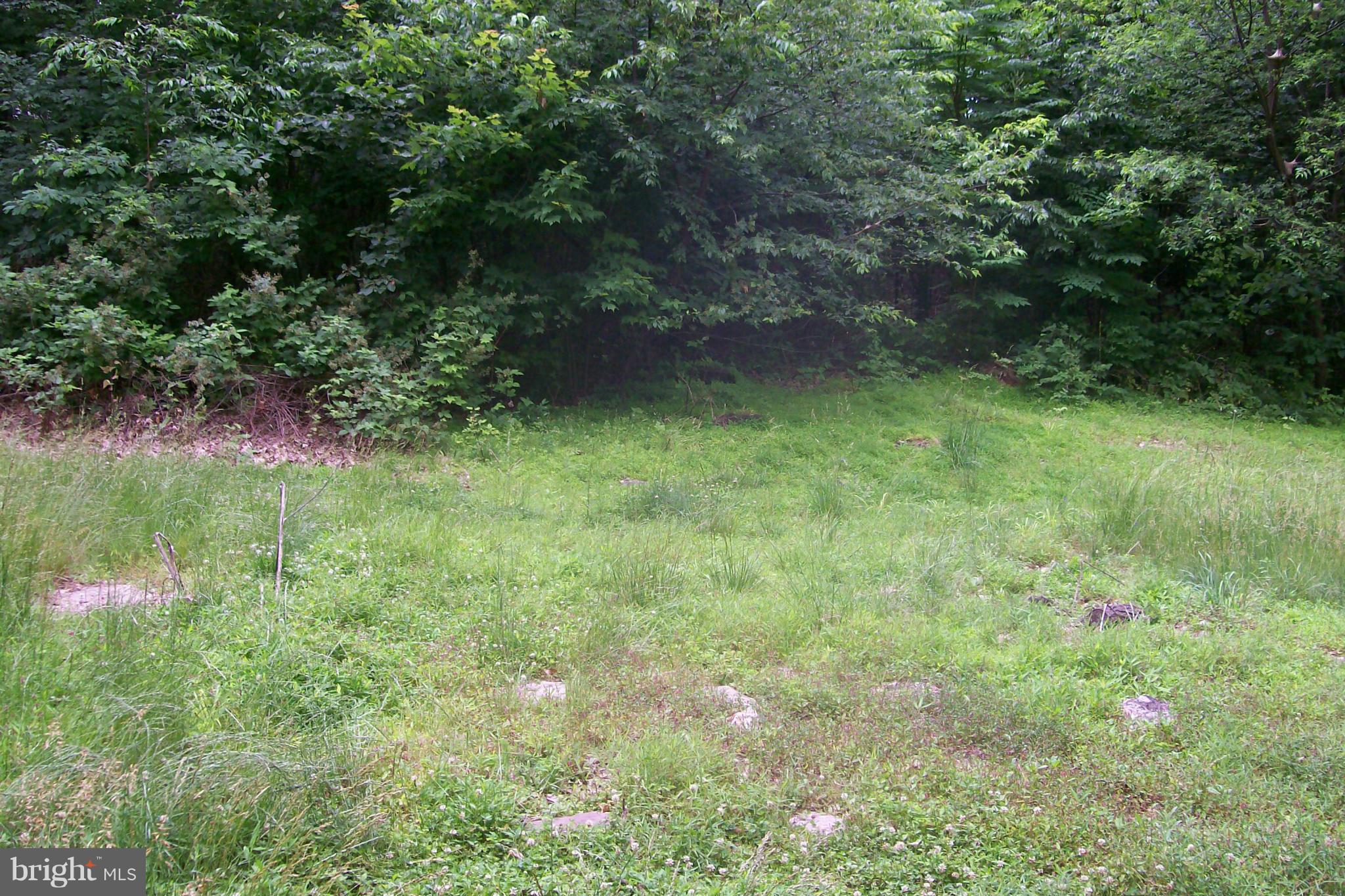 114 Moorehead Road Gore, VA 22637 - Photo 20 of 25 a view of yard