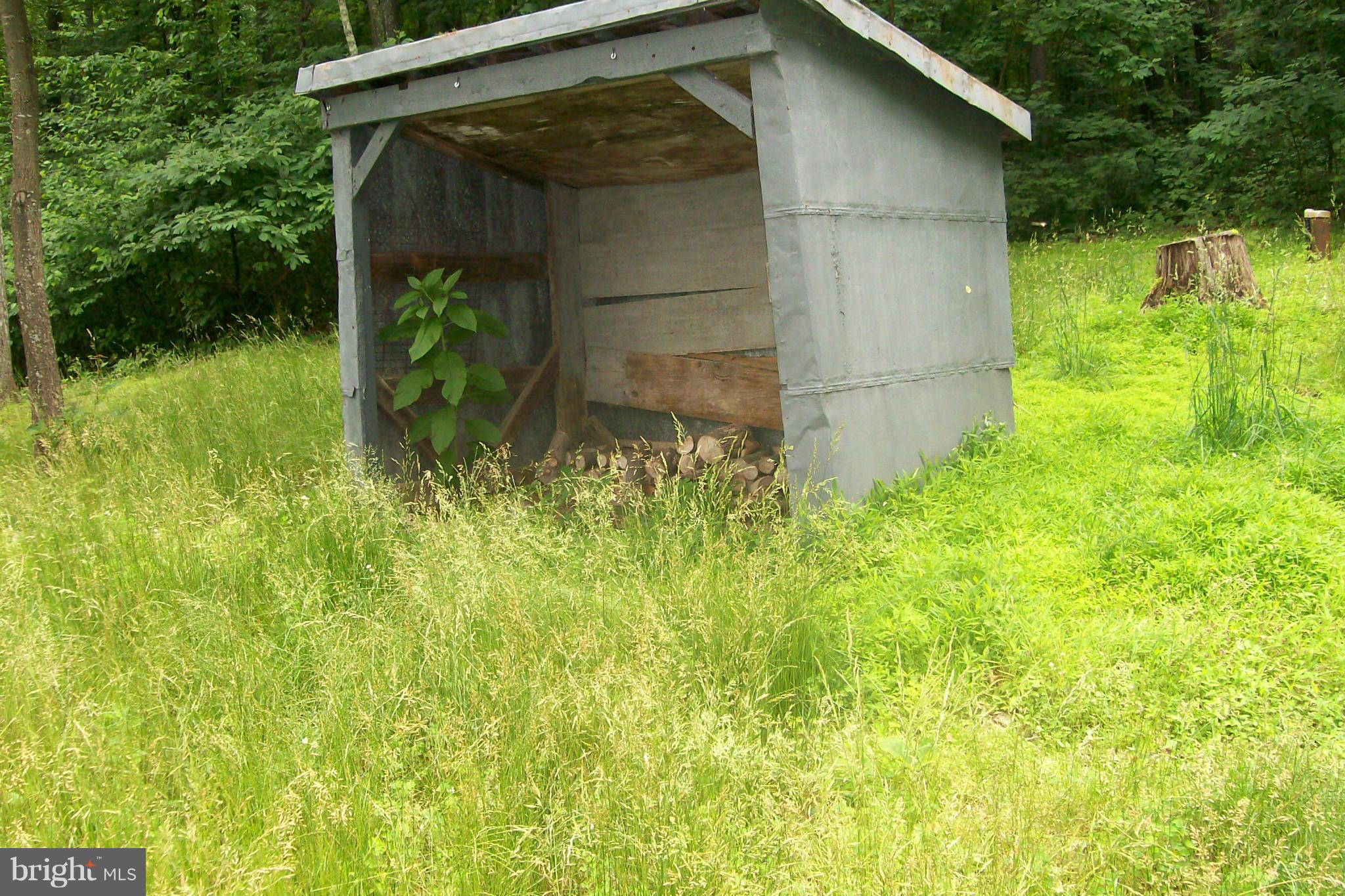 114 Moorehead Road Gore, VA 22637 - Photo 21 of 25 a backyard of a house with lots of green space