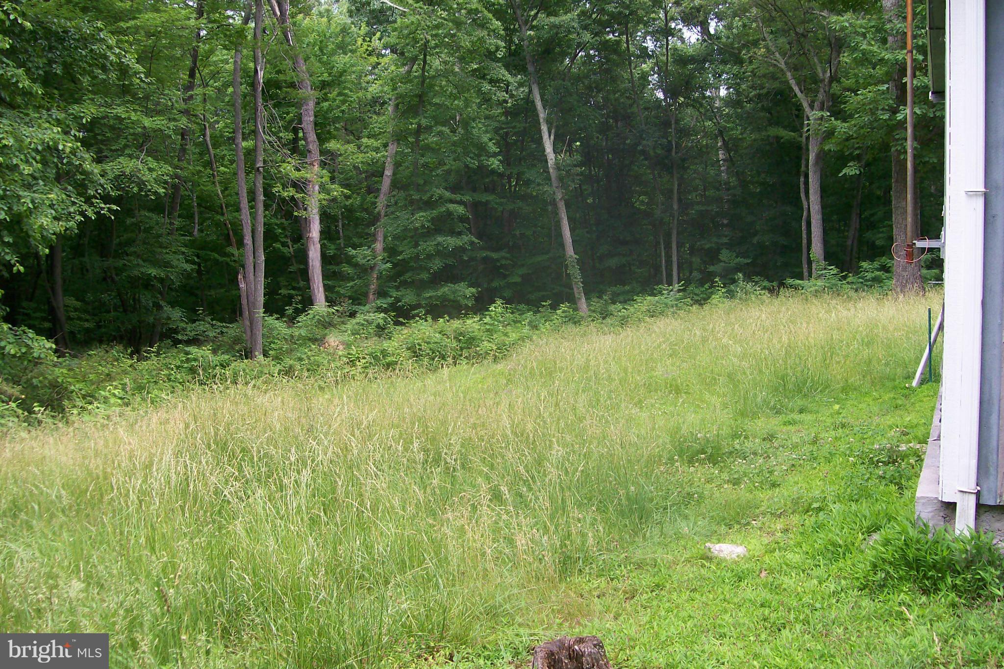 114 Moorehead Road Gore, VA 22637 - Photo 22 of 25 a view of backyard with green space