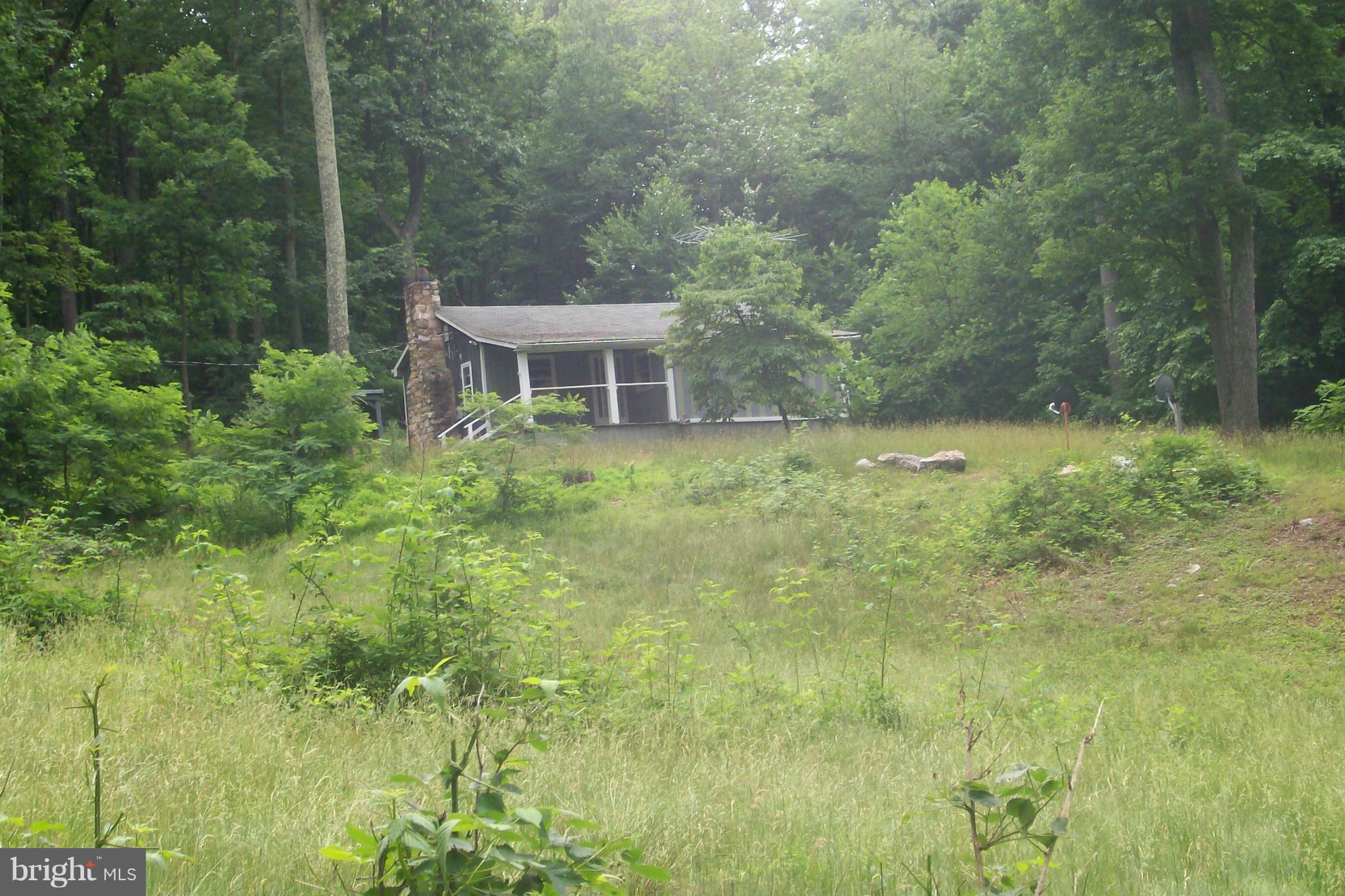114 Moorehead Road Gore, VA 22637 - Photo 25 of 25 a view of a big yard with large trees