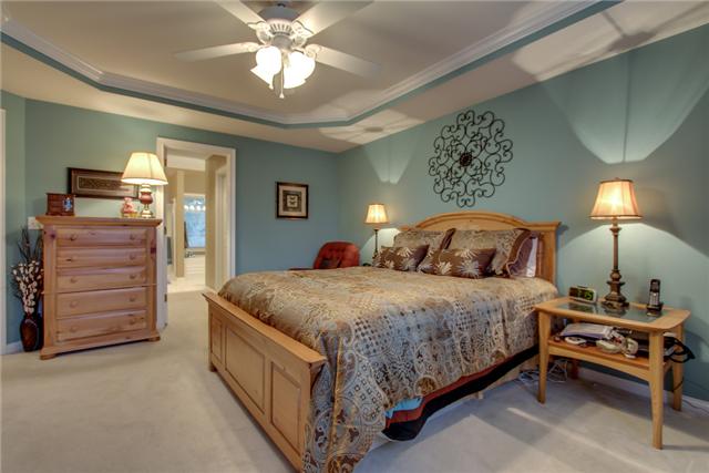 226 Savannah Ridge Murfreesboro, TN 37127 - Photo 11 of 16 Another view of the spacious Master Bedroom.