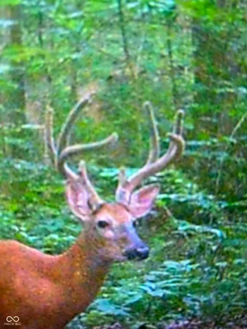 $405,000 | 10495 Deer Run, Poland, IN 47868