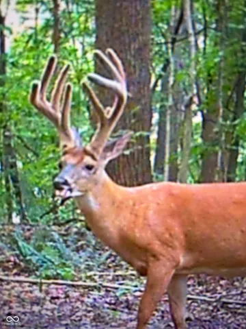 $405,000 | 10495 Deer Run, Poland, IN 47868