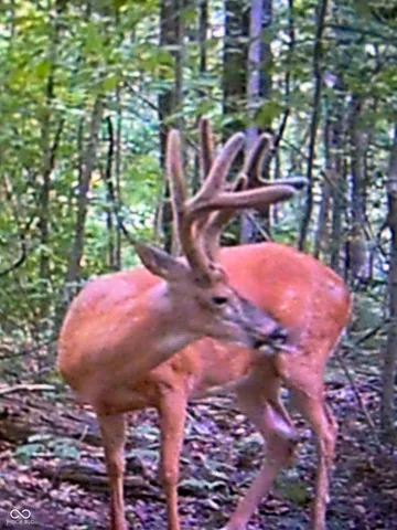 $405,000 | 10495 Deer Run, Poland, IN 47868