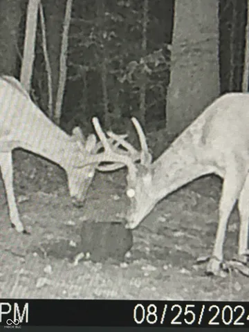 $405,000 | 10495 Deer Run, Poland, IN 47868