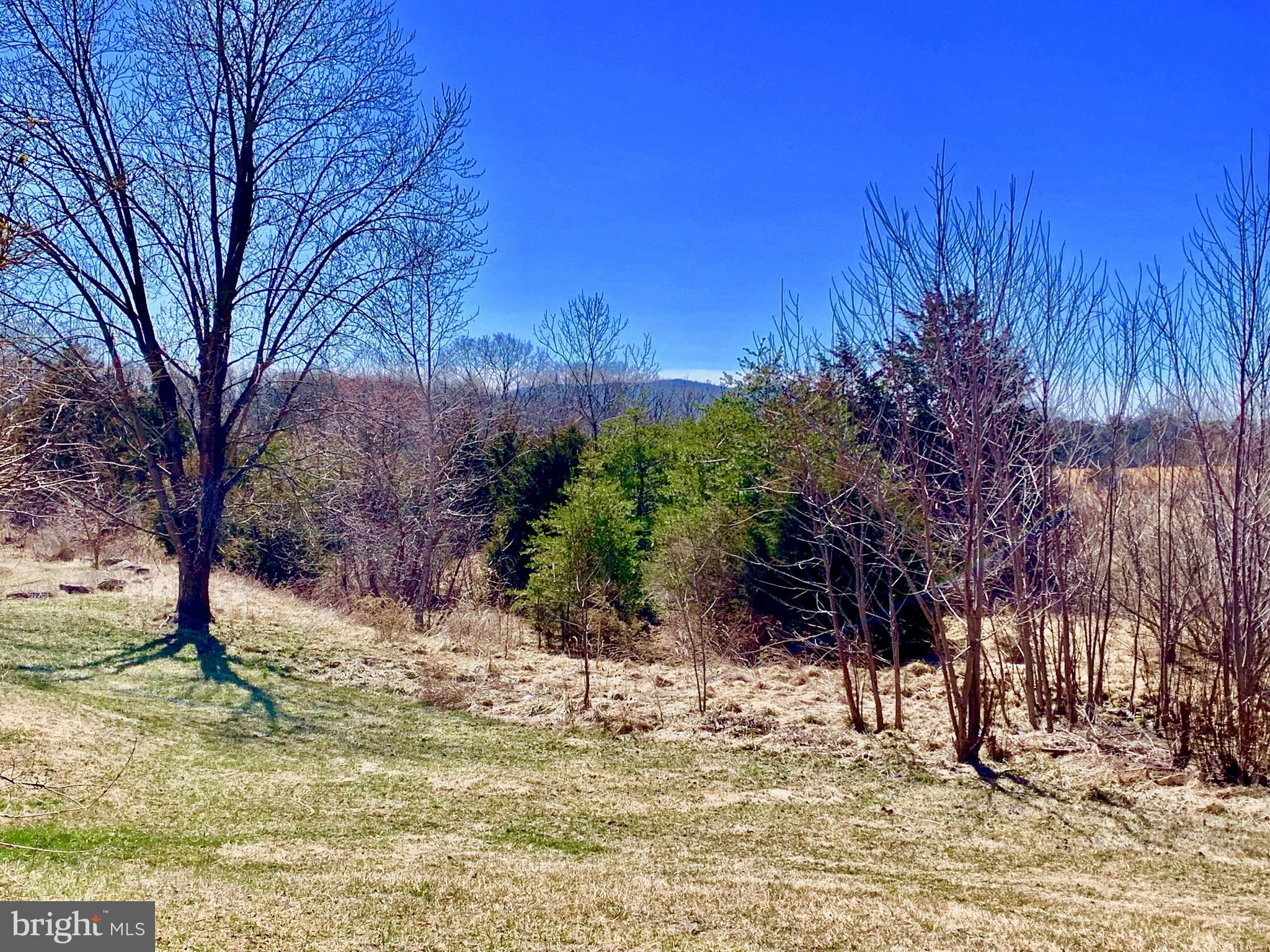 909 Huttle Road Middletown, VA 22645 - Photo 3 of 4 Lovely yard and amazing views