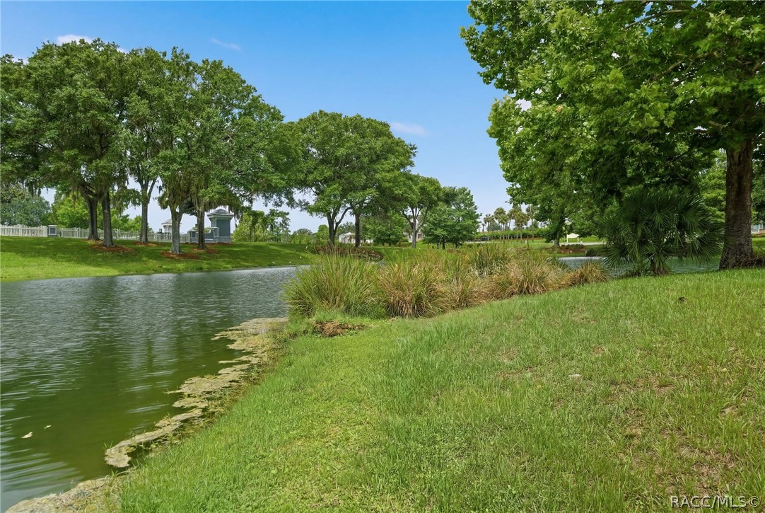 1672 West Spring Meadow Loop Lecanto, FL 34461 - Photo 6 of 42