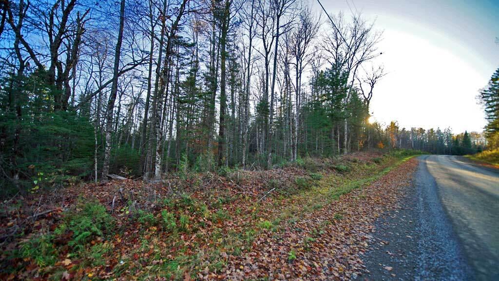 Lot 18 South Oakfield Road Houlton, ME 04730 - Photo 16 of 32 land-me-lake-linneus