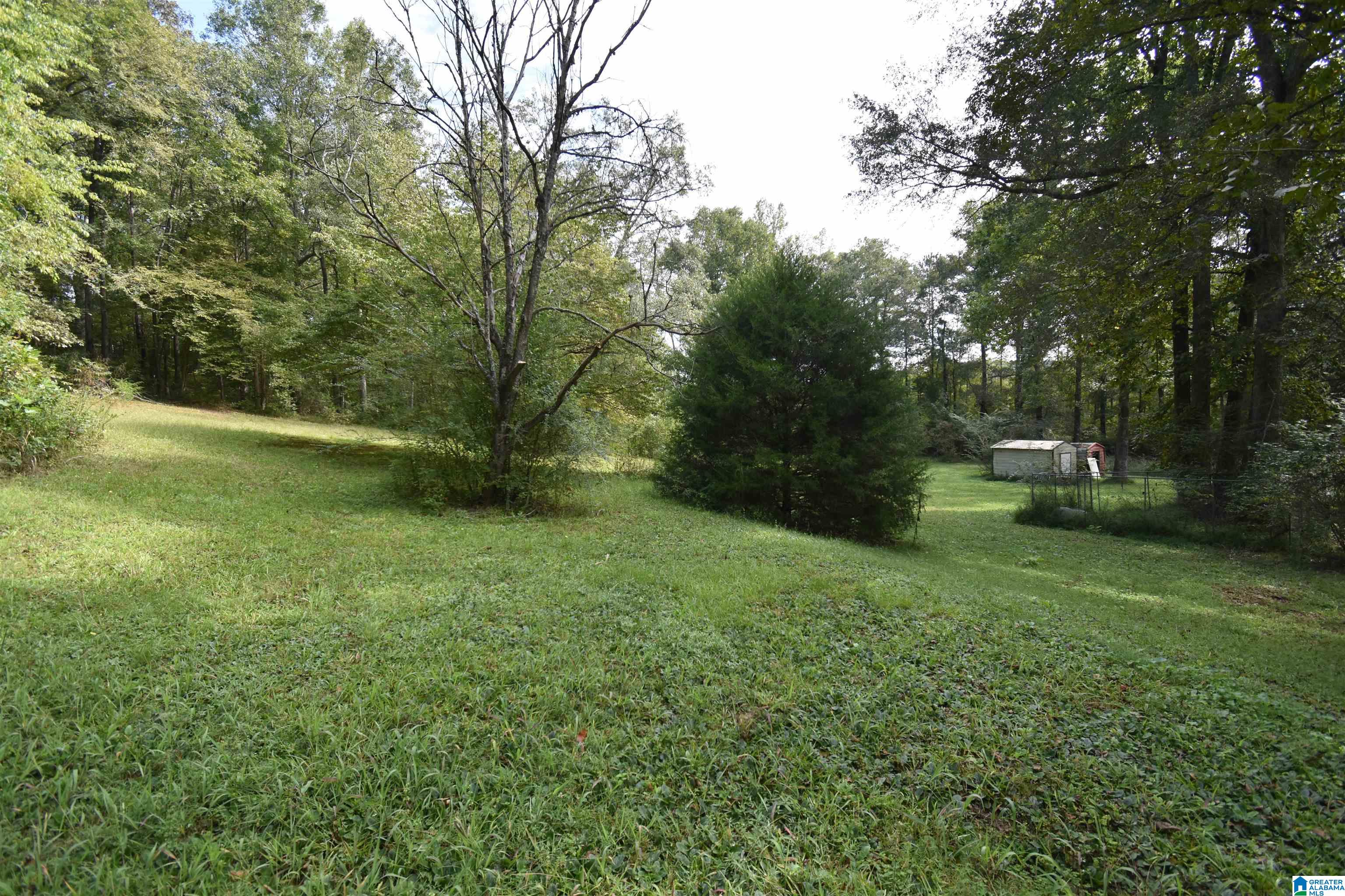677 Old Walker Road Cleveland, AL 35049 - Photo 36 of 38