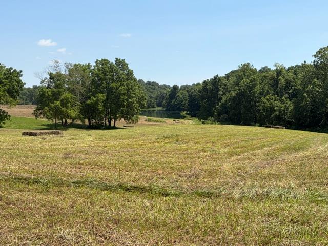 10449 North Dearborn Road Sunman, IN 47041 - Photo 83 of 84