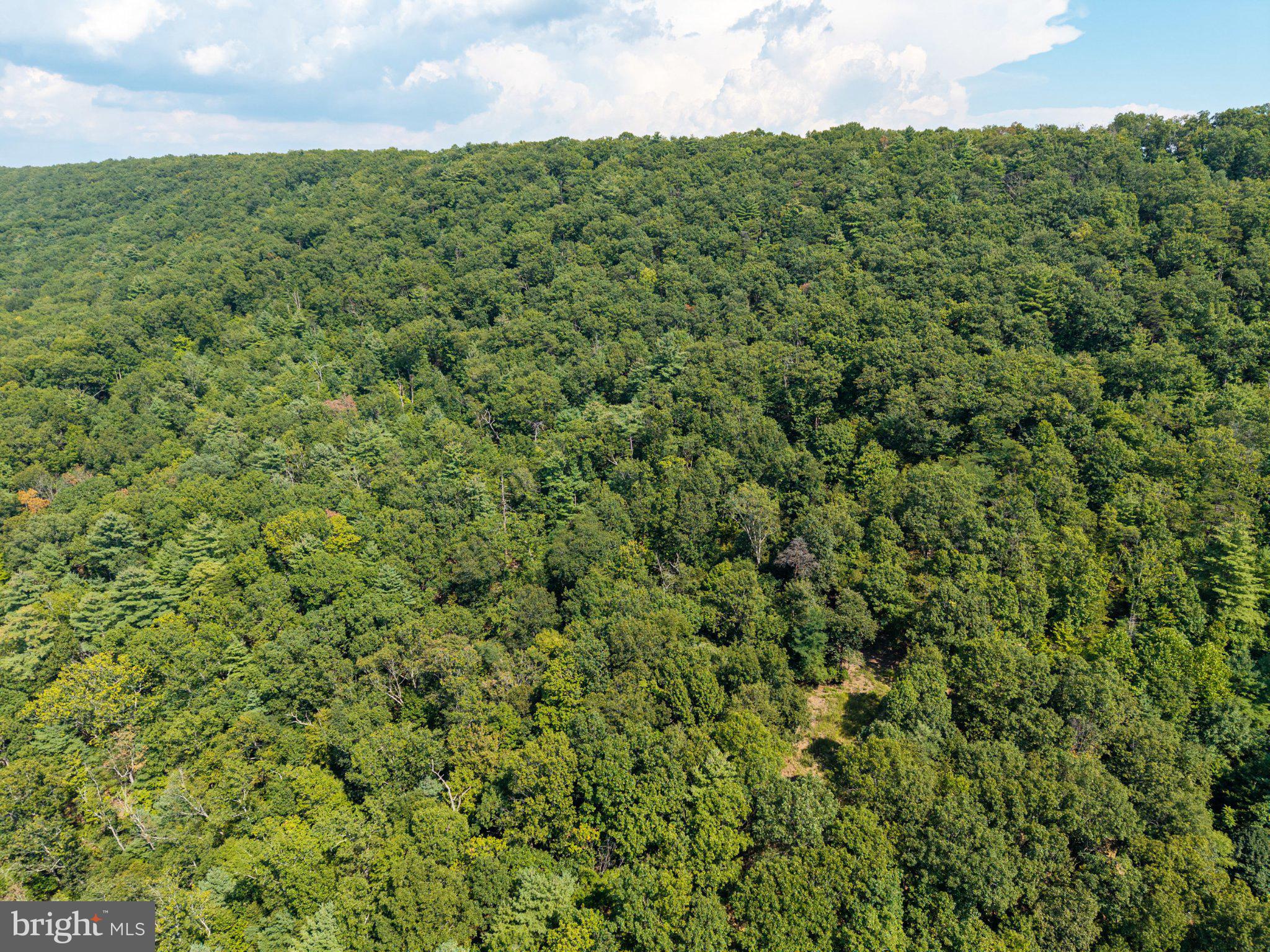 0 Supinlick Ridge Road Mount Jackson, VA 22842 - Photo 30 of 33 Gallery Image 30