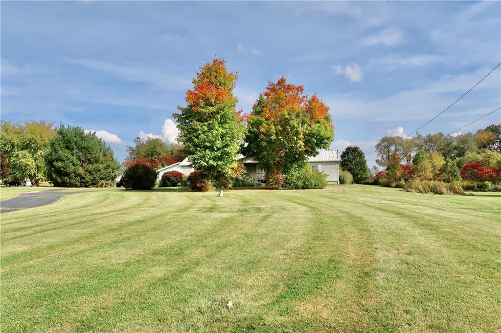 128 Airport Road Mercer, PA 16137 - Photo 4 of 36 a view of a yard with an trees and plants