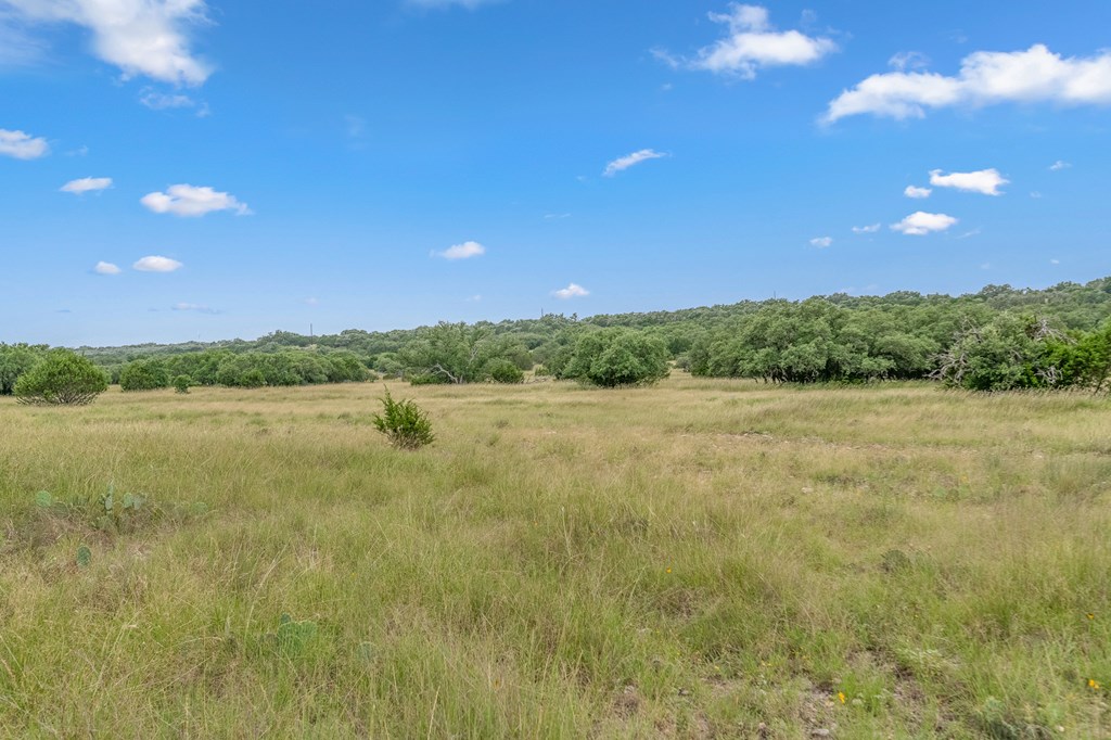 41 Rocksprings Tx 78880 Rocksprings, TX 78880 - Photo 10 of 62