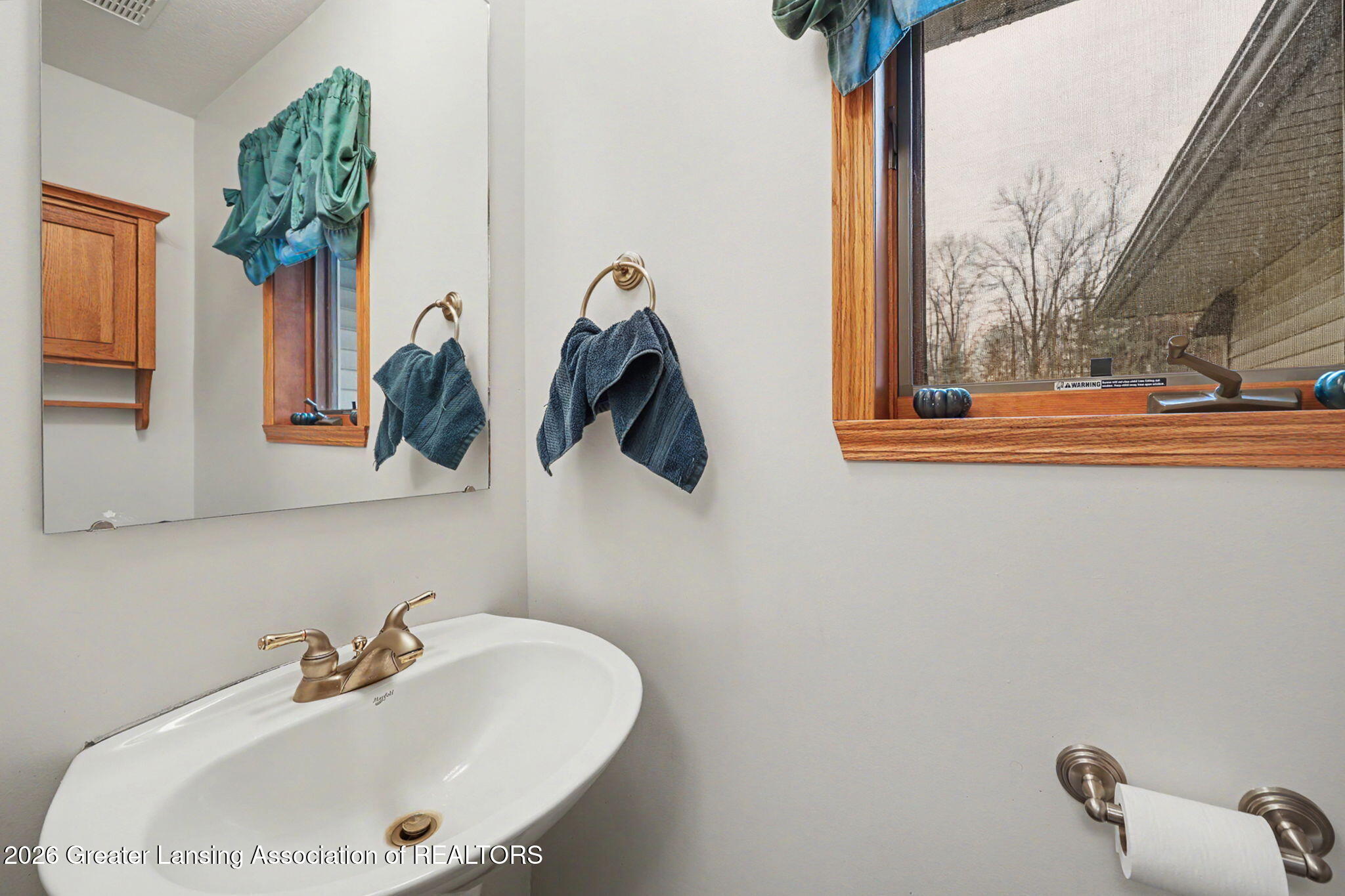 248 Birch Lane Dimondale, MI 48821 - Photo 17 of 44 17-web-or-mls-CQ1A2448