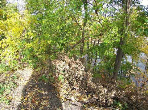 317 West River Road Flushing, MI 48433 - Photo 27 of 28 20377233-27.JPG
