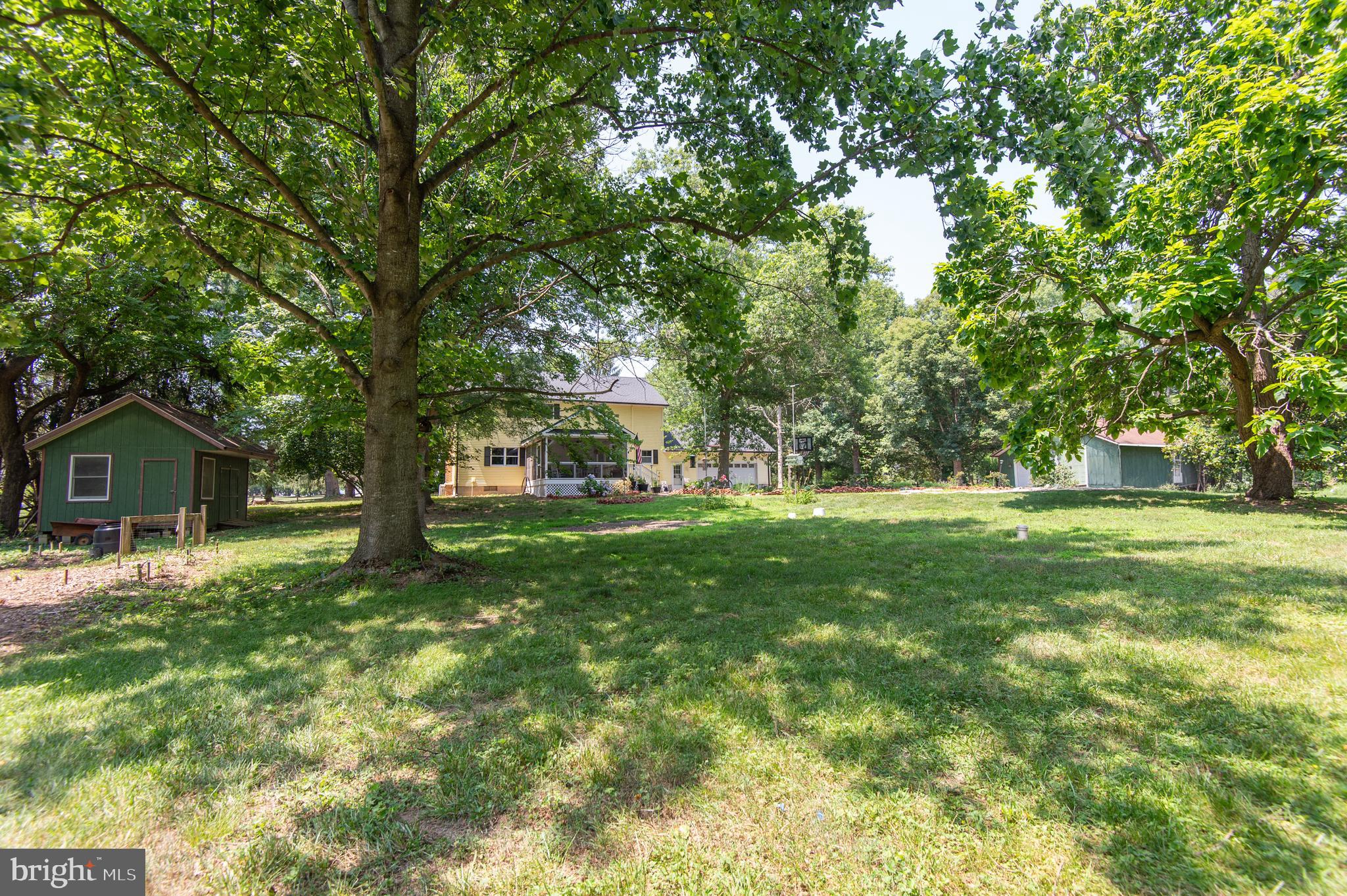 9472 Quail Run Road Denton, MD 21629 - Photo 38 of 50 a view of a tree in front of a house