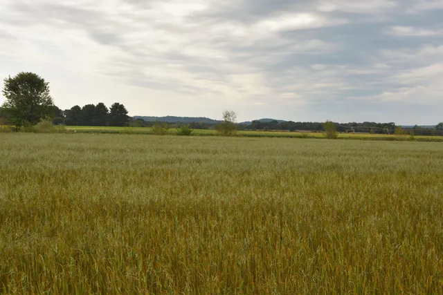 $35,900 | Lot 52 North Westmor Spring Green, Spring Green, WI 53588