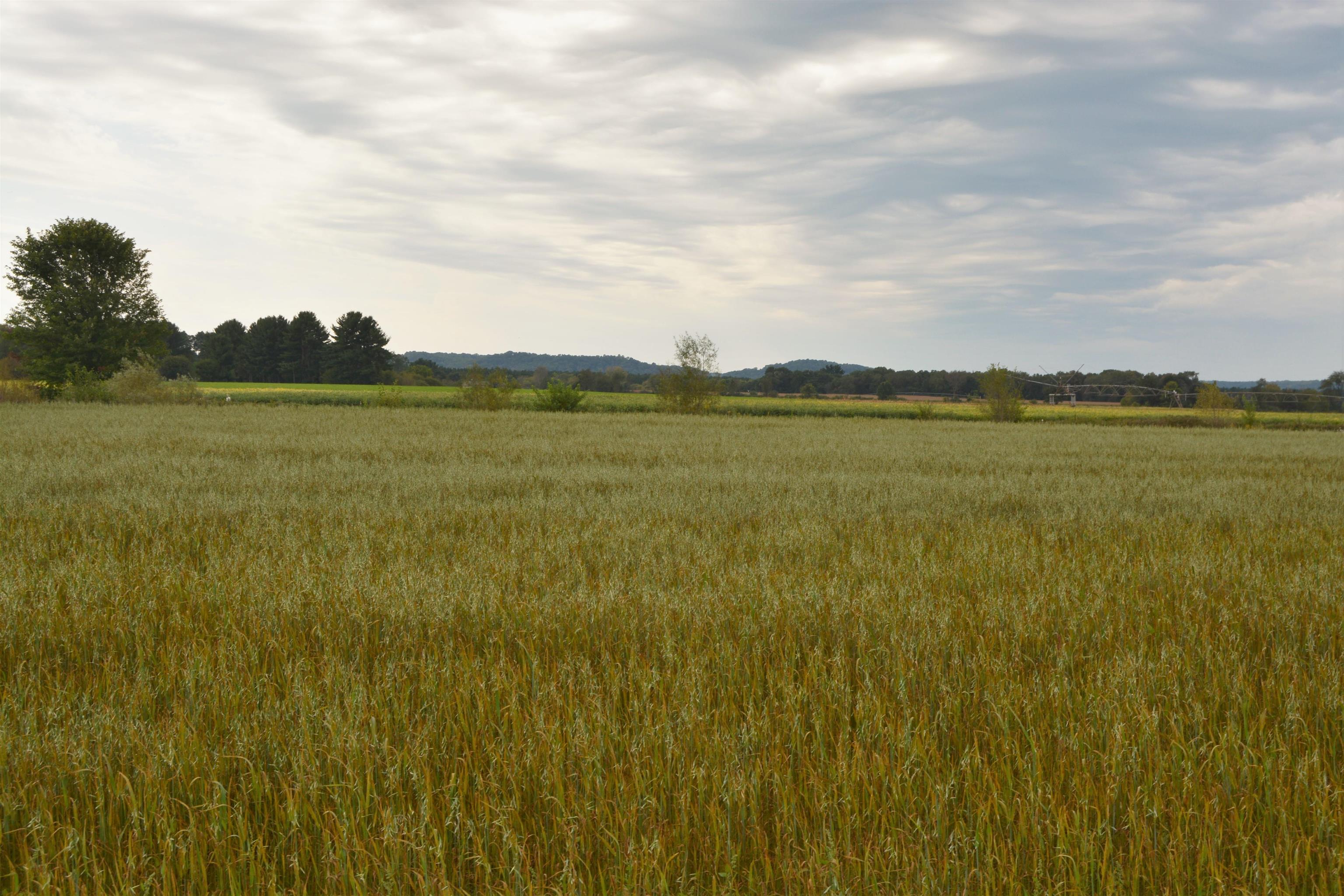 Lot 52 North Westmor Spring Green Spring Green, WI 53588 - Photo 5 of 19