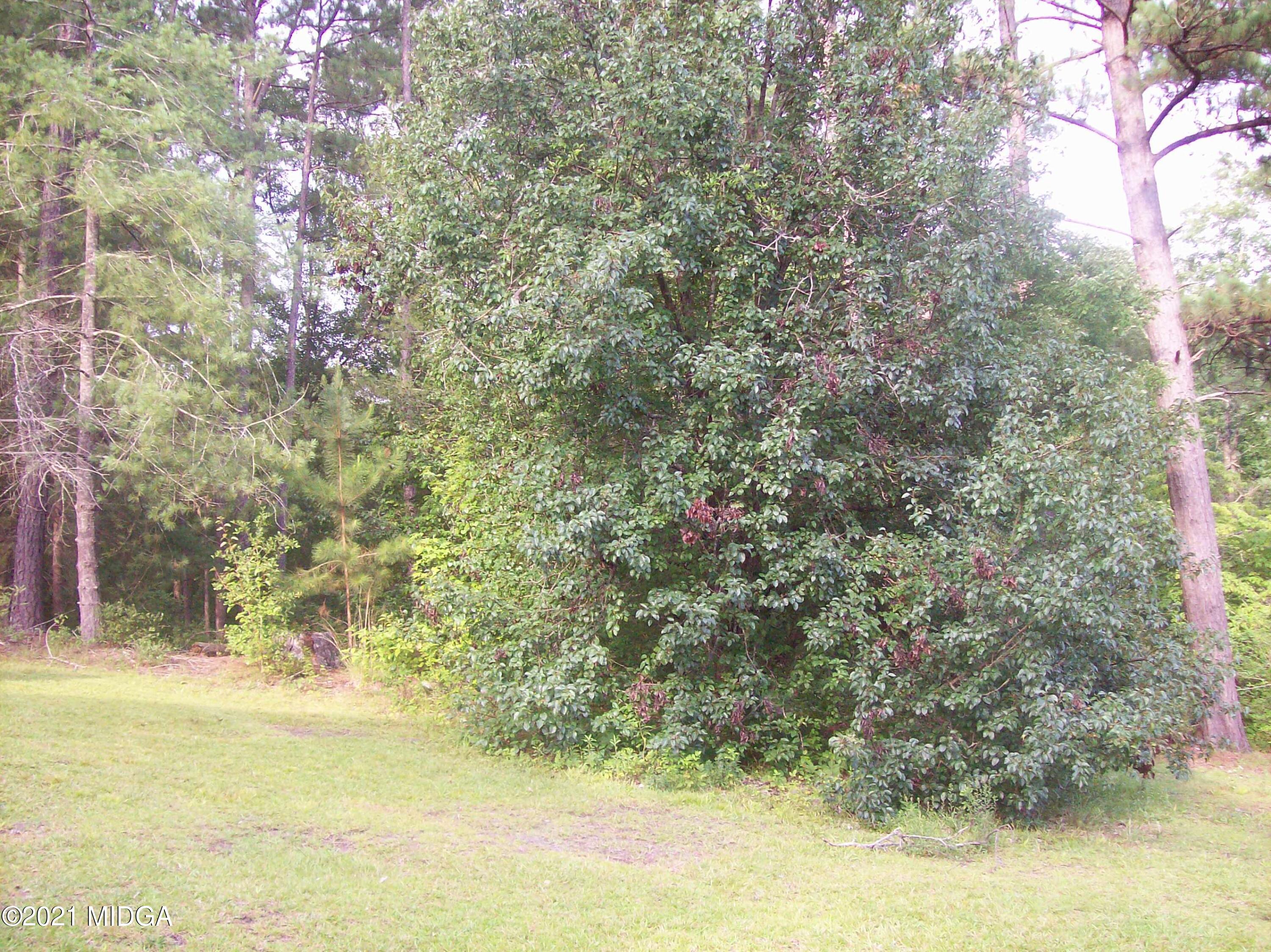 6221 Davis Road Macon, GA 31217 - Photo 28 of 28 102_0009